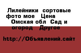 Лилейники- сортовые фото мое › Цена ­ 150 - Омская обл. Сад и огород » Другое   